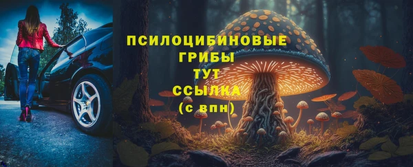 крисы Алзамай