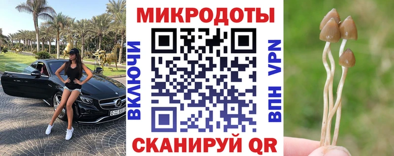 Галлюциногенные грибы GOLDEN TEACHER  закладки  Уссурийск 